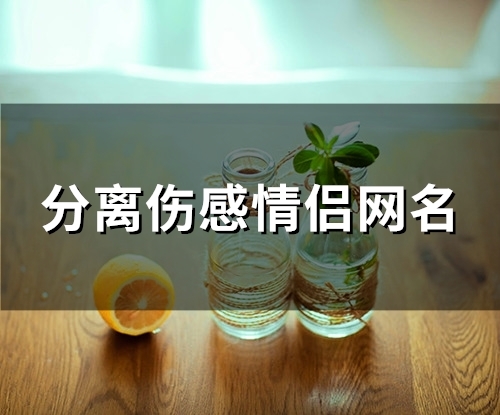 分离伤感情侣网名(共91个)