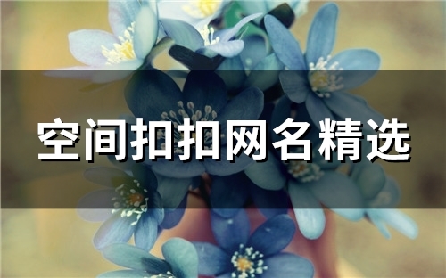 空间扣扣网名精选(优选87个)