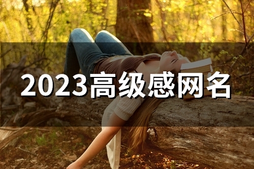 2023高级感网名(109个) 2023高级感网名(109个)
