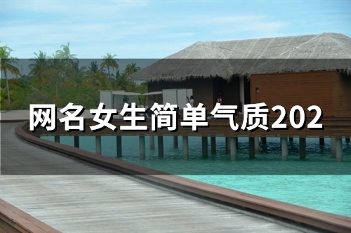 网名女生简单气质2023(共117个)