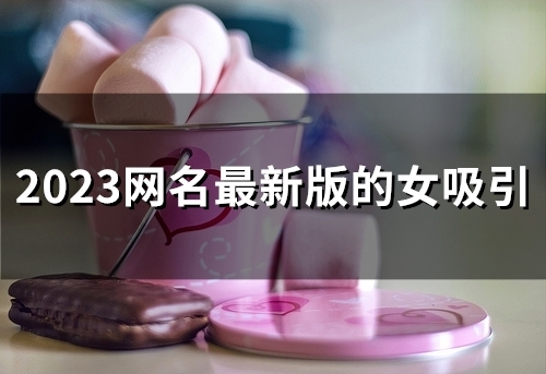 2023网名最新版的女吸引(117个)