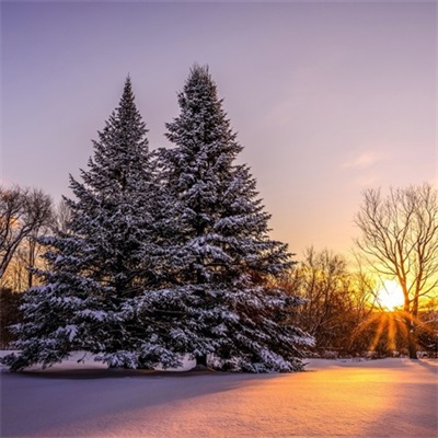 最好的山水风景头像大全(优选34张)
