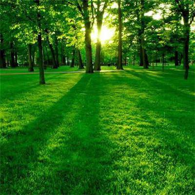 风水上最好的微信头像(优选16张)