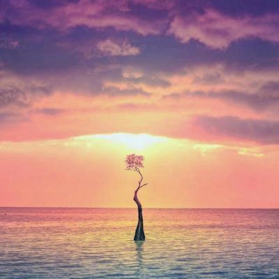 2023年最火爆微信头像女(20张)