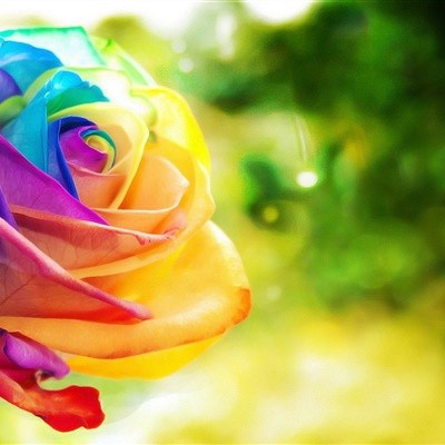 2023年最火爆微信头像女(20张)