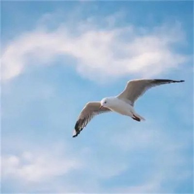 2023年最火爆微信头像女(20张)