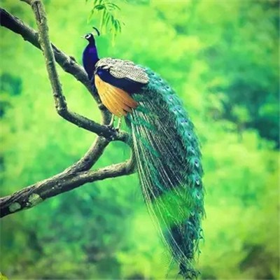 2023年最火爆微信头像女(20张)