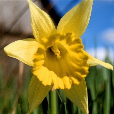 2023年最火爆微信头像女(20张)