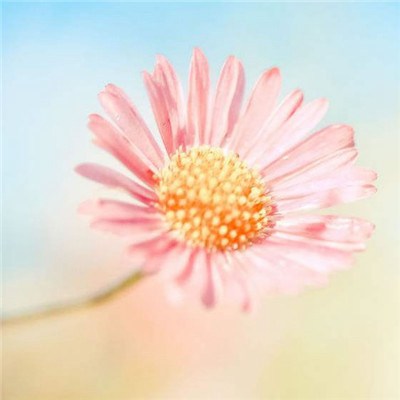 2023年最火爆微信头像女(20张)