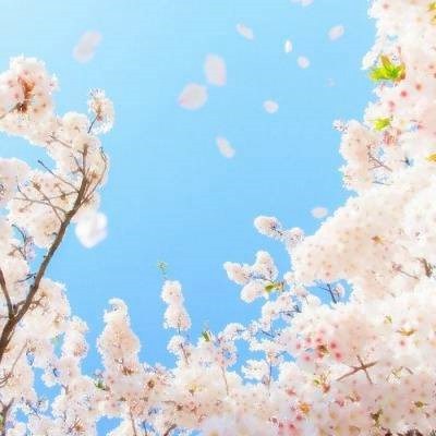 2023年最火爆微信头像女(20张)