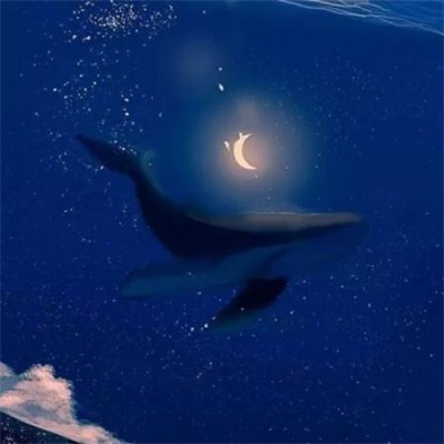 1623独一无二头像女微信(20张)