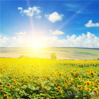 2023转运的微信头像(精选18张)