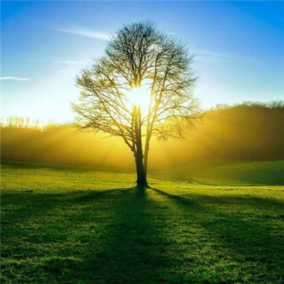 1623年最美的微信头像(20张)