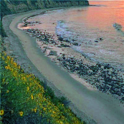 2023年最美微信头像图片(精选18张)