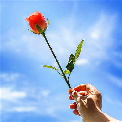 2023年最佳头像(16张)