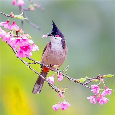 2023年最佳头像(16张)