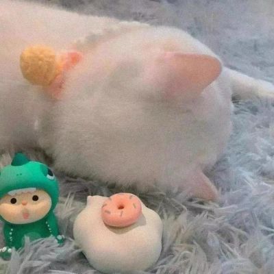 2023可可爱爱又很萌的情头(共18张)