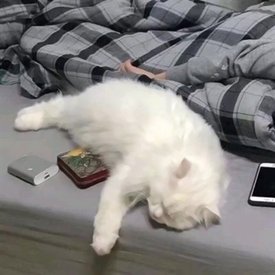 恶搞搞怪情头一对两张图片(优选18张)