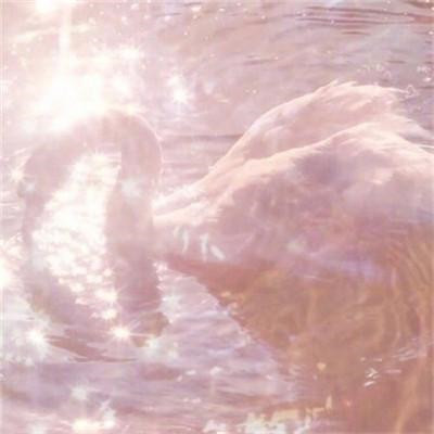 最火2023图片头像(共22张)