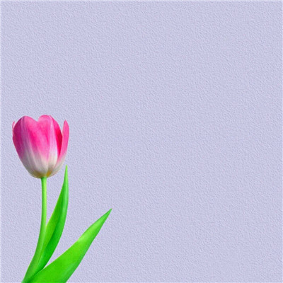 2023最美带好运的风景头像(精选18张)