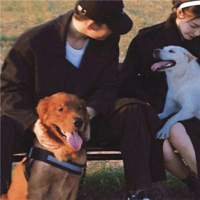 2023最流行的情头大全(精选16张)