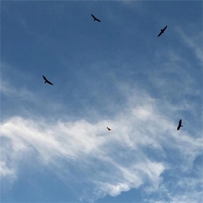 求好运的微信风景头像(共28张)