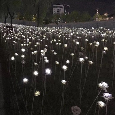 求好运的微信风景头像(共28张)