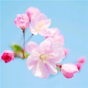 高清好看很灵的转运微信头像图片(精选26张)