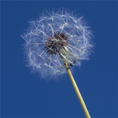 高清好看很灵的转运微信头像图片(精选26张)