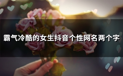 霸气冷酷的女生抖音个性网名两个字(120个) 霸气冷酷的女生抖音个性网名两个字(120个)