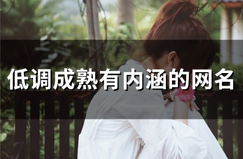 低调成熟有内涵的网名(优选103个) 低调成熟有内涵的网名(优选103个)