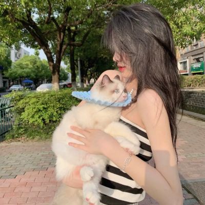 时尚潮流女装图片大全(32张)