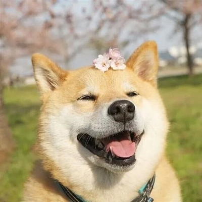 二零二三年最好看的头像(共20张)