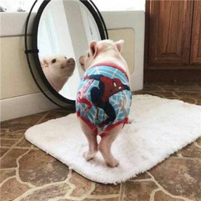 奇葩逗比情侣头像一男一女图片大全(16张)