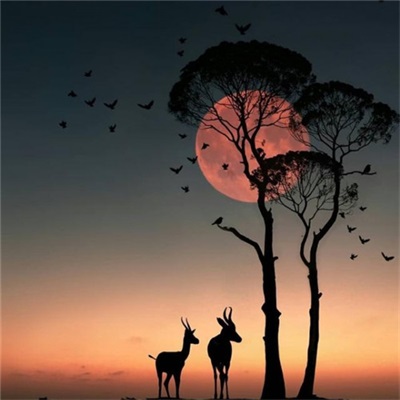 让人过目不忘的头像(共16张)