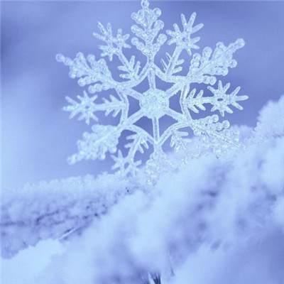 让人过目不忘的头像(共16张)