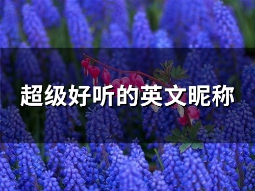 超级好听的英文昵称(95个)