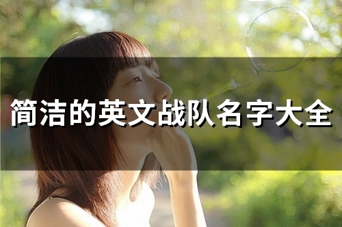 简洁的英文战队名字大全(104个)