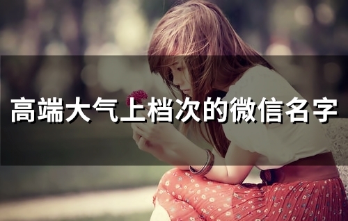 高端大气上档次的微信名字(共119个)