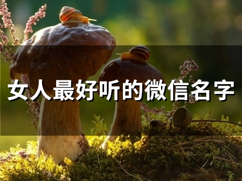 女人最好听的微信名字(共108个) 女人最好听的微信名字(共108个)
