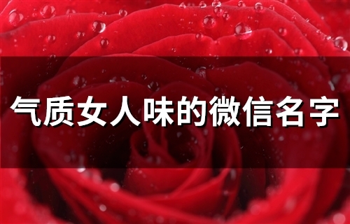 气质女人味的微信名字(精选108个)