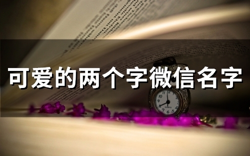 可爱的两个字微信名字(优选118个)