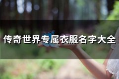 传奇世界专属衣服名字大全(共112个)