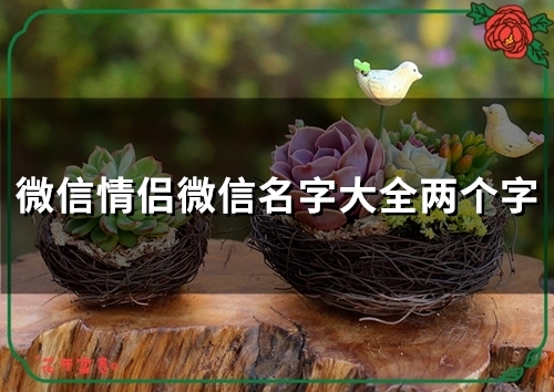 微信情侣微信名字大全两个字(精选55个)