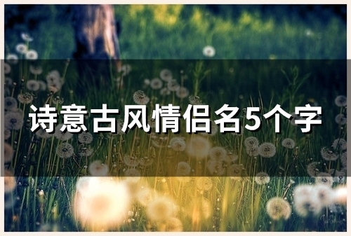 诗意古风情侣名5个字(精选98个) 诗意古风情侣名5个字(精选98个)