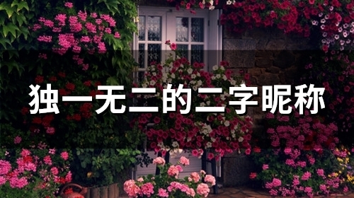 独一无二的二字昵称(精选92个)
