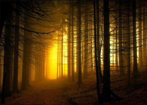 独一无二的二字昵称(精选97个)