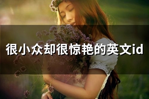 很小众却很惊艳的英文id(优选80个)