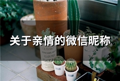 关于亲情的微信昵称(114个)