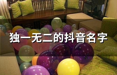 独一无二的抖音名字(共93个) 独一无二的抖音名字(共93个)